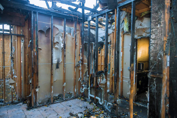 Professional Odor Removal technician working in Malvern, OH