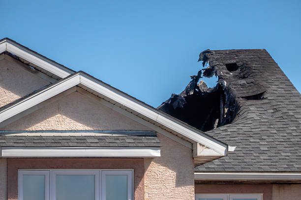 Top rated local Odor Removal specialists in Malvern, OH
